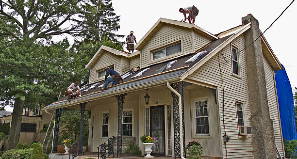 Best Metal Roofing Contractor  in Santa Rosa, CA